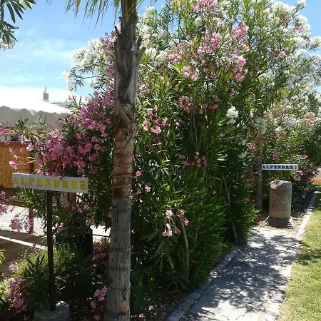 Monte Do Afonso *